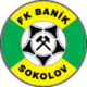 Banik Sokolov
