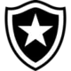 Botafogo RJ (V)