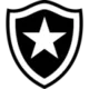 Botafogo RJ (Virtual_12)