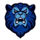 CA Argentino de Junin