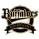 Orix Buffaloes
