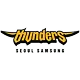 Seoul Samsung Thunders