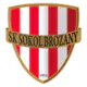 Sokol Brozany