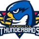 Springfield Thunderbirds