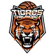 Tigres de Chinandega