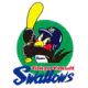 Tokyo Yakult Swallows