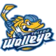 Toledo Walleye
