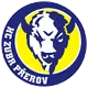 Zubr Prerov
